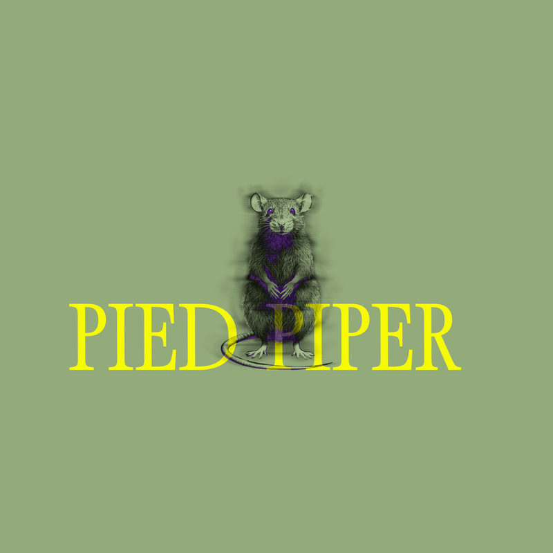 Pied Piper